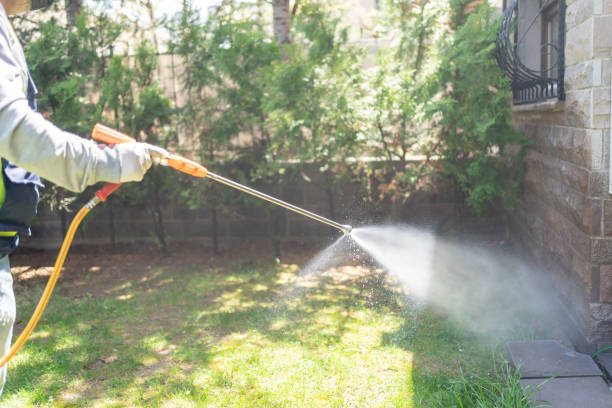 Best Pest Removal Services  in Verandah, FL